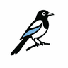 PlayMagpie UK Logo